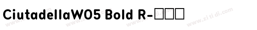 CiutadellaW05 Bold R字体转换